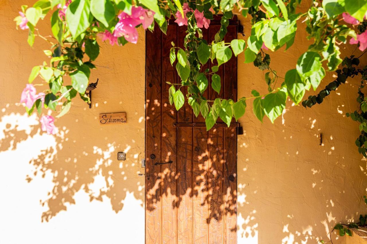 Las Mariposas San Antonio  Ngoại thất bức ảnh
