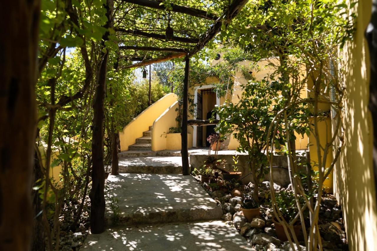 Las Mariposas San Antonio  Ngoại thất bức ảnh